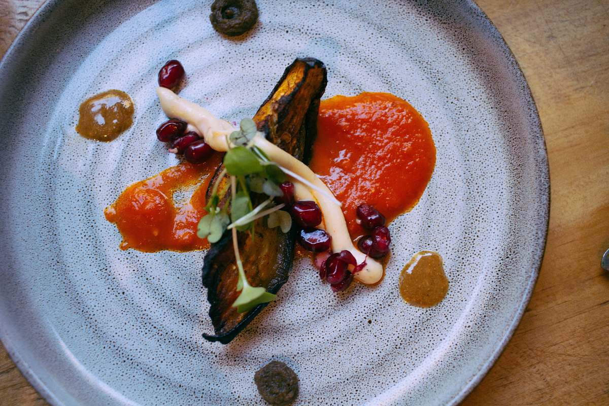 sea life plate of dessert animal